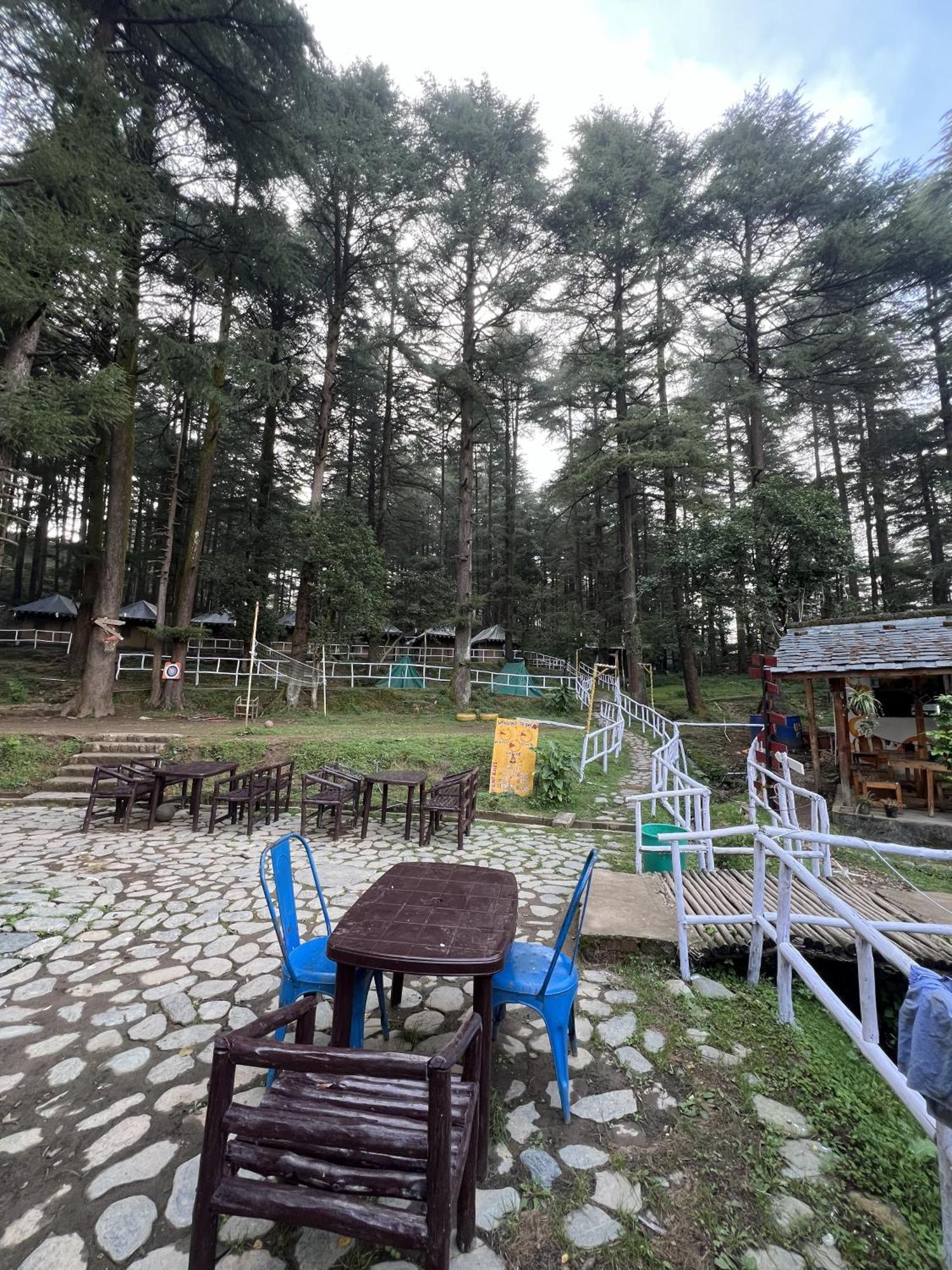 מקלוד גאנג' Himtrek Stays,Mcleodganj מראה חיצוני תמונה