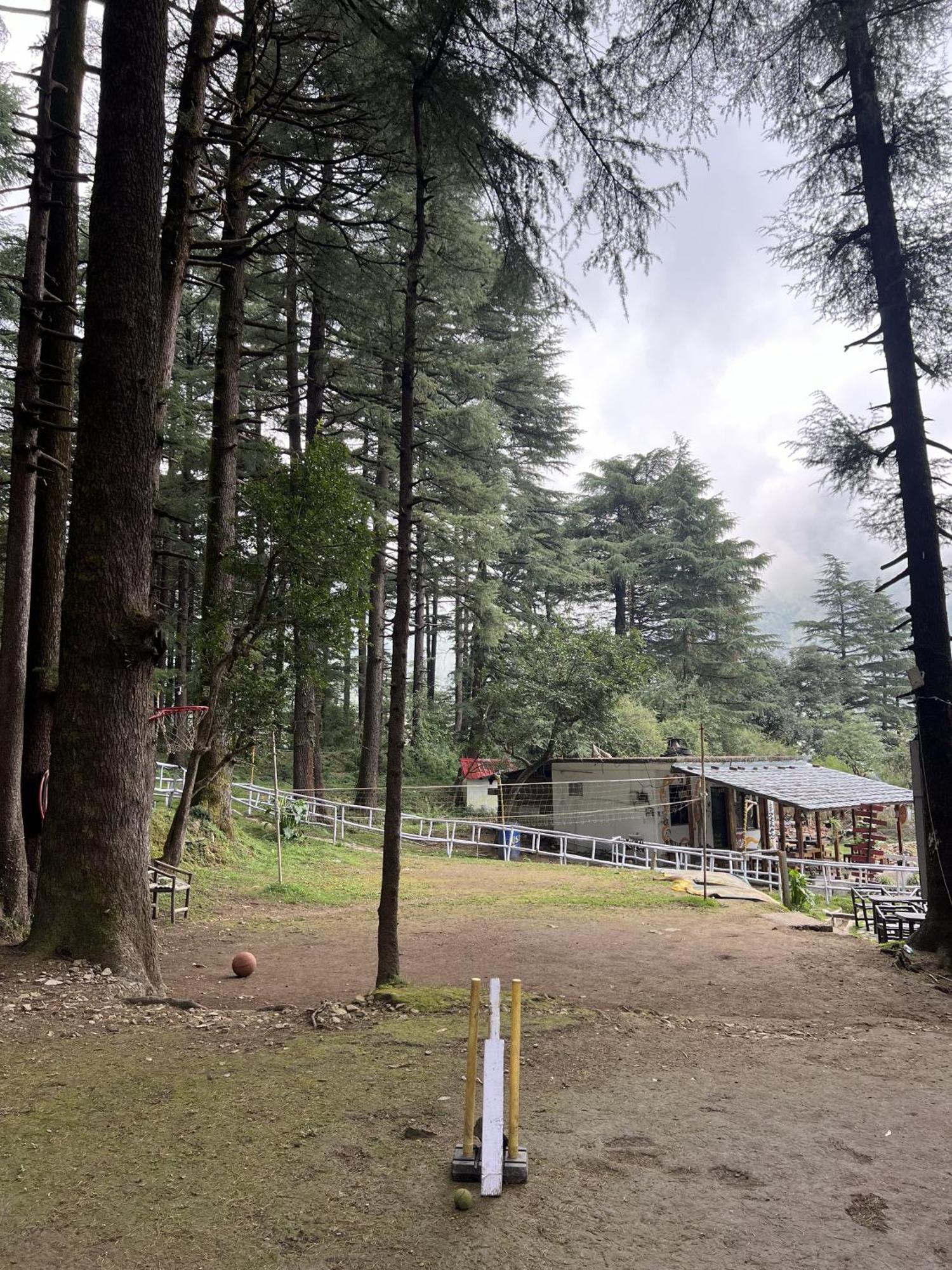 מקלוד גאנג' Himtrek Stays,Mcleodganj מראה חיצוני תמונה