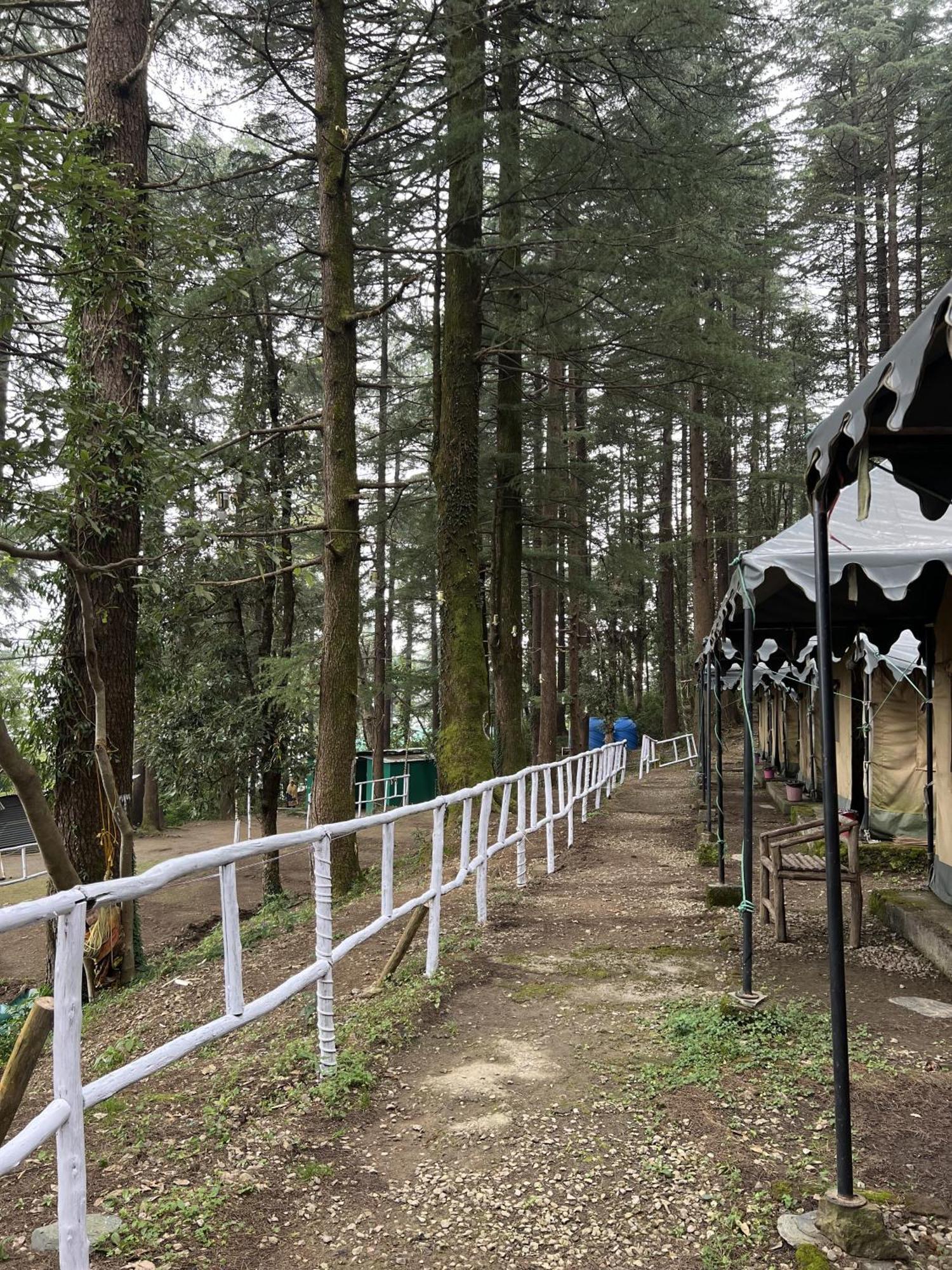 מקלוד גאנג' Himtrek Stays,Mcleodganj מראה חיצוני תמונה