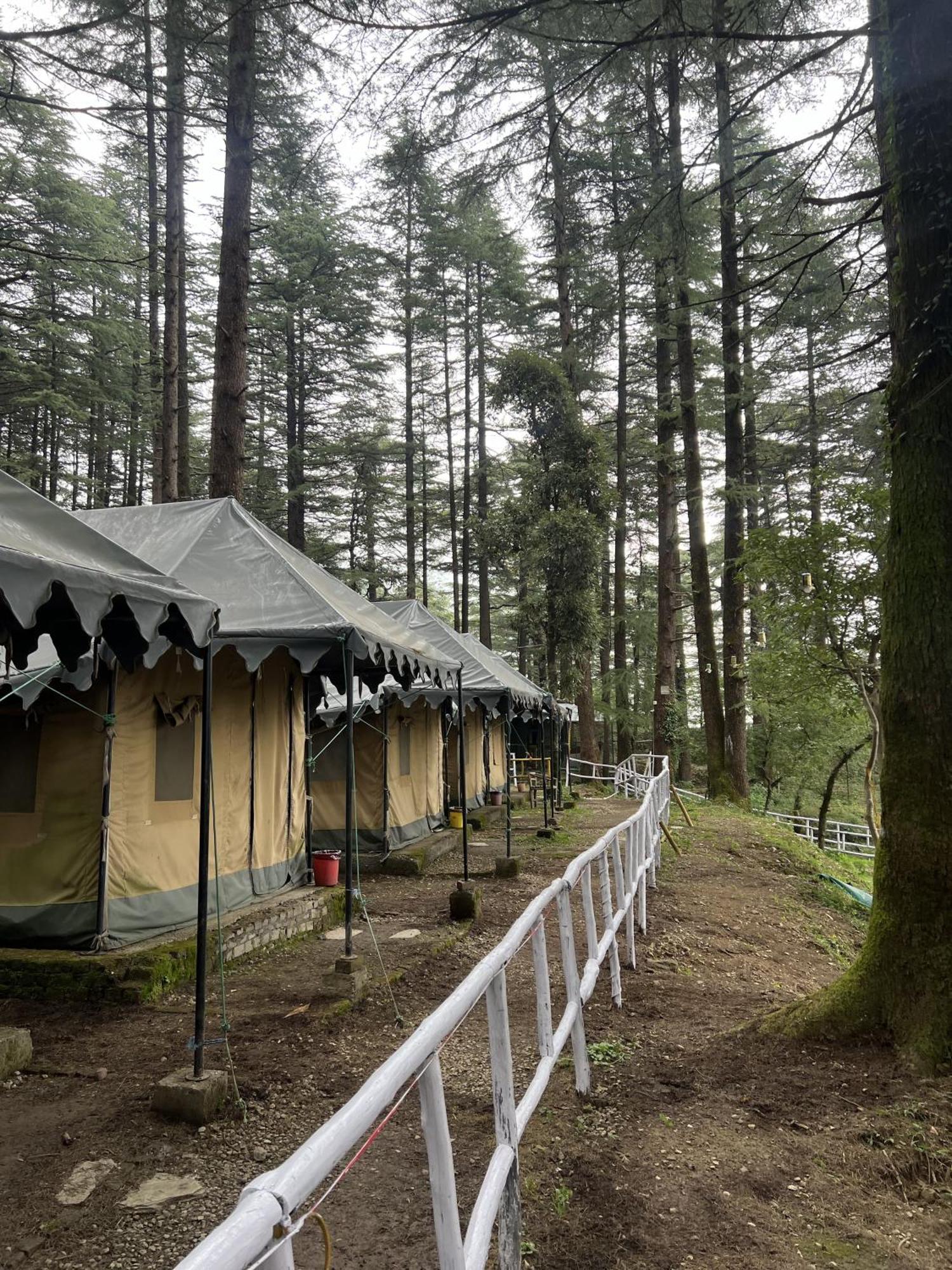 מקלוד גאנג' Himtrek Stays,Mcleodganj מראה חיצוני תמונה