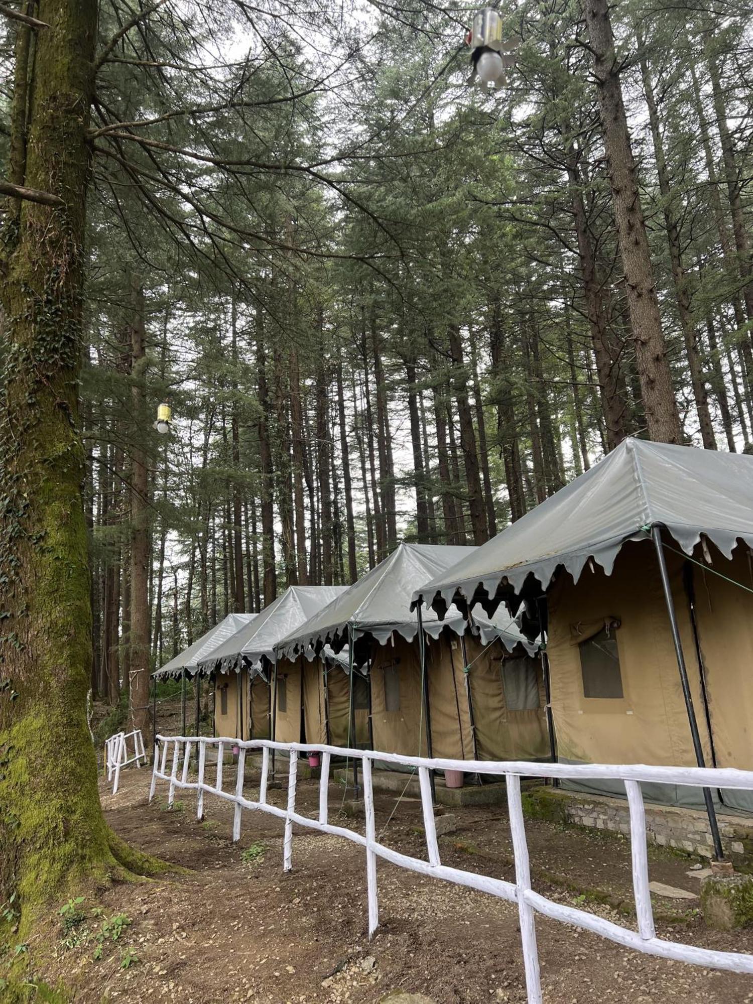מקלוד גאנג' Himtrek Stays,Mcleodganj מראה חיצוני תמונה