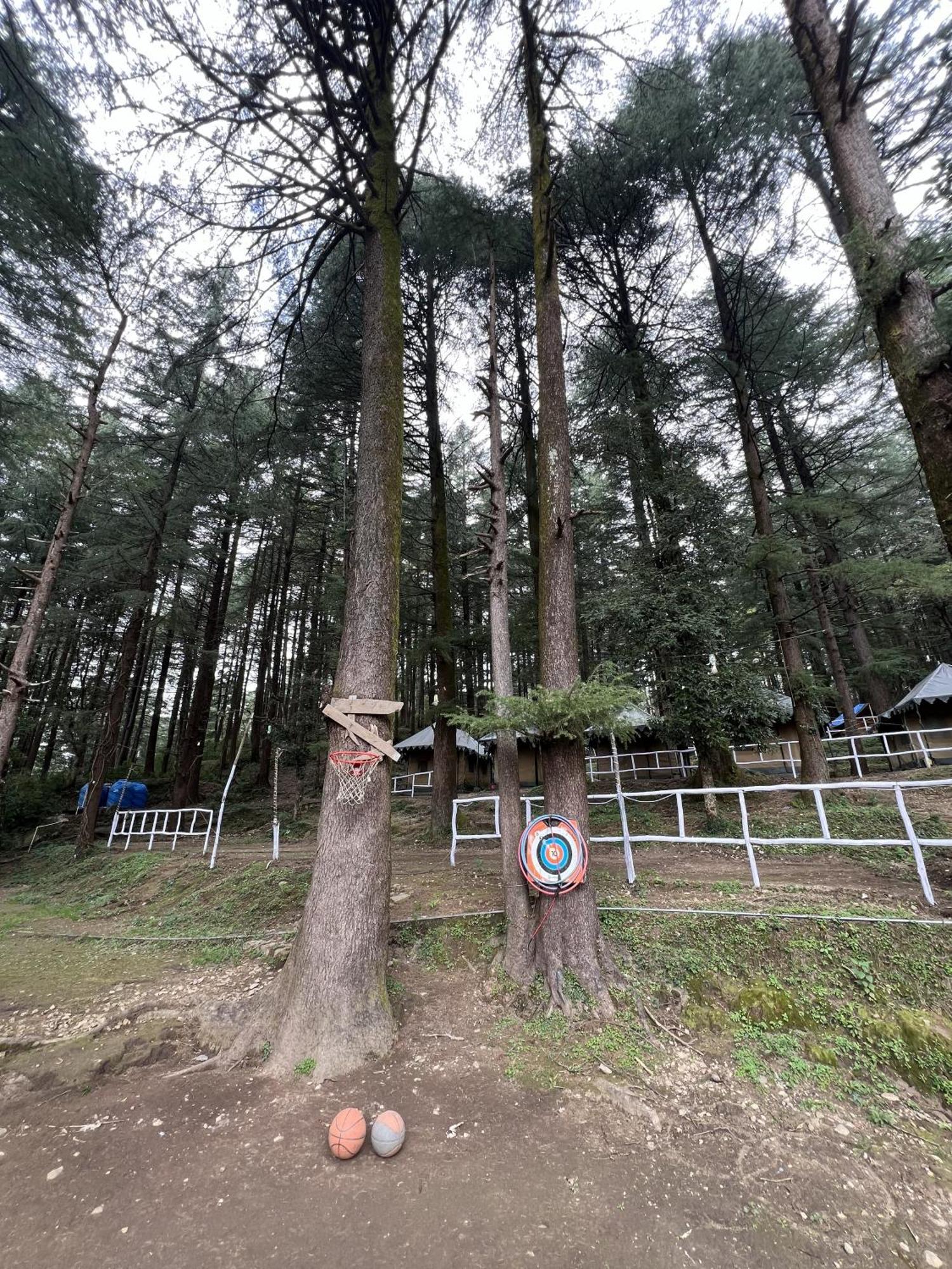 מקלוד גאנג' Himtrek Stays,Mcleodganj מראה חיצוני תמונה