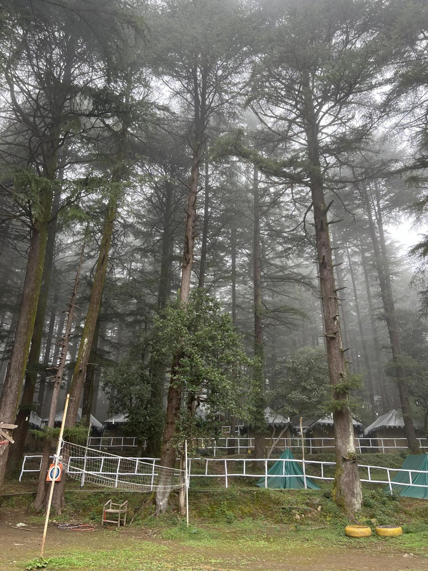 מקלוד גאנג' Himtrek Stays,Mcleodganj מראה חיצוני תמונה