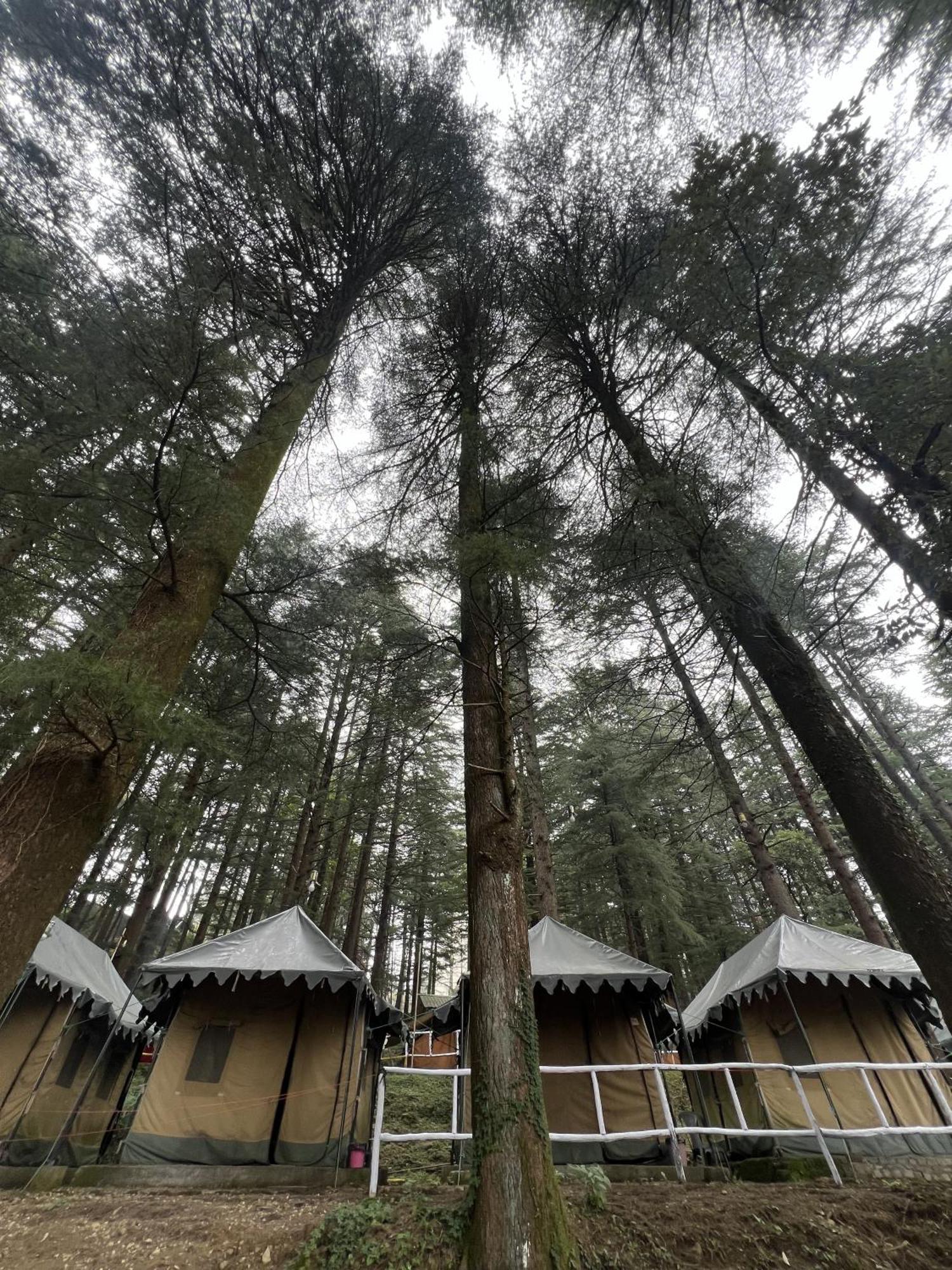 מקלוד גאנג' Himtrek Stays,Mcleodganj מראה חיצוני תמונה