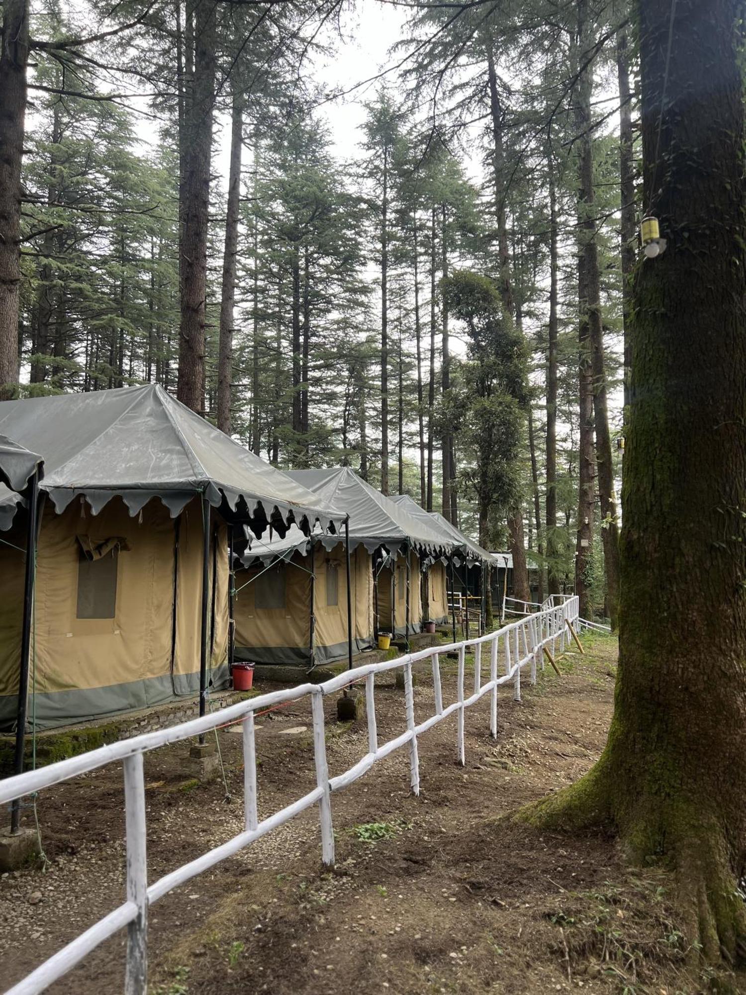 מקלוד גאנג' Himtrek Stays,Mcleodganj מראה חיצוני תמונה