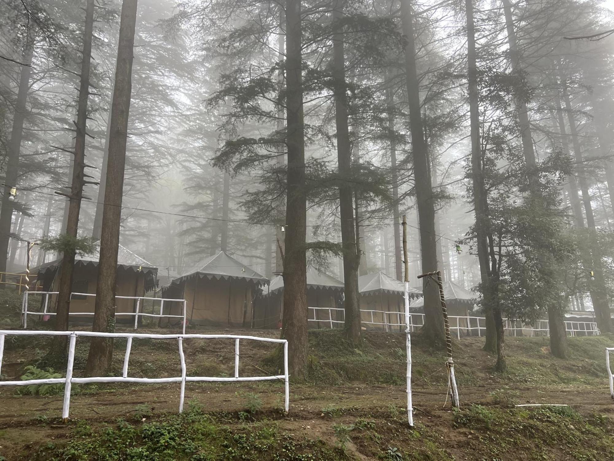 מקלוד גאנג' Himtrek Stays,Mcleodganj מראה חיצוני תמונה